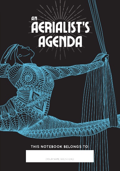 Cover for An Aerialist's Agenda